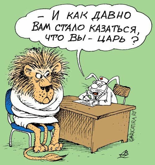 Ура! Мне подключили интенет! (БАЯНЫ) Ч.2