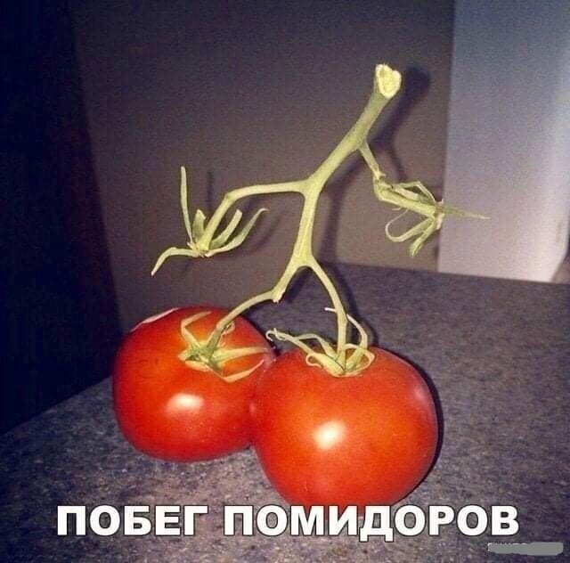 Немного картинок для настроения 11.07.20