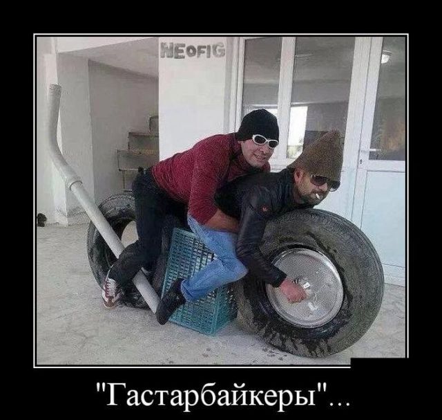Фотки и картинки: юморные и красивые, забавные и милые 09.10.20