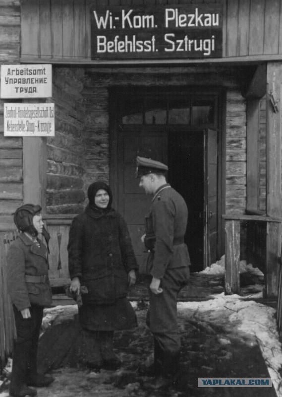 Пили бы баварское, говорите?