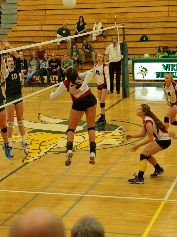 Удачный кадр. Фотопост