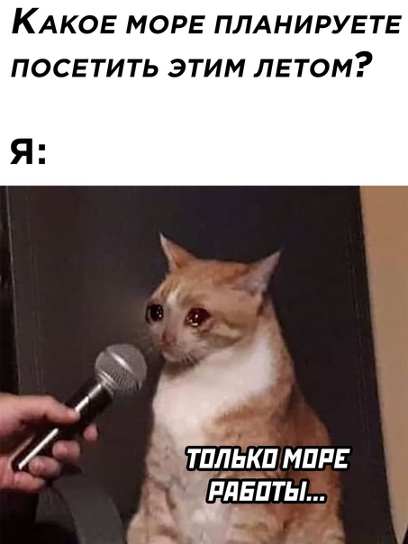 Картинки и мемы для настроения 15.07.2021