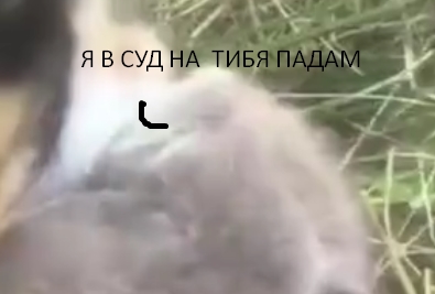 Уникальная дружба
