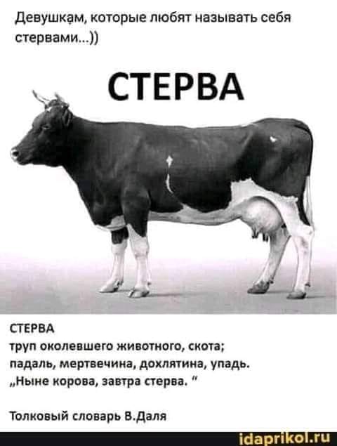 Всяческие картинки 12.01.2022