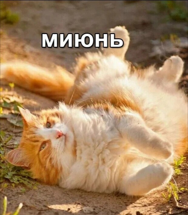 Картинки и мемы, всяко разно - 183