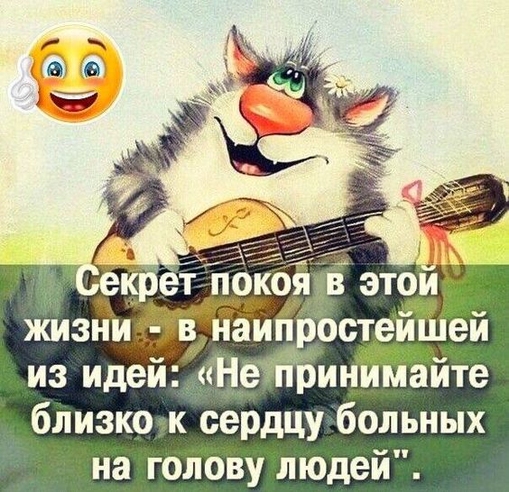 Прикольные и просто красивые картинки 04.08.2023