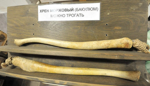 Как железо попало в бронзовый век
