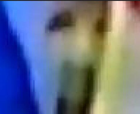 У гроба Папы Иоанна Павла II