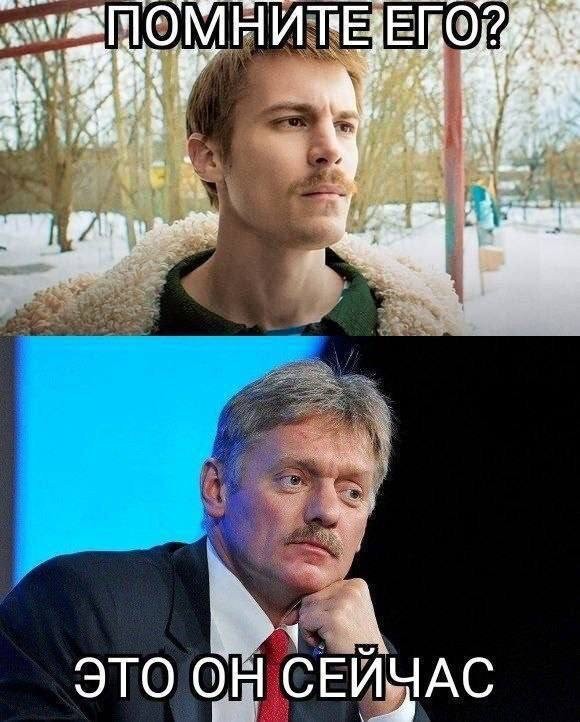 18731787.jpg