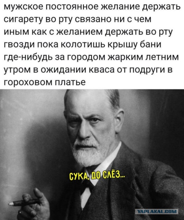 Веселые картинки к пятнице (08.11)