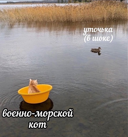 Иногда дети издают ужасные звуки
