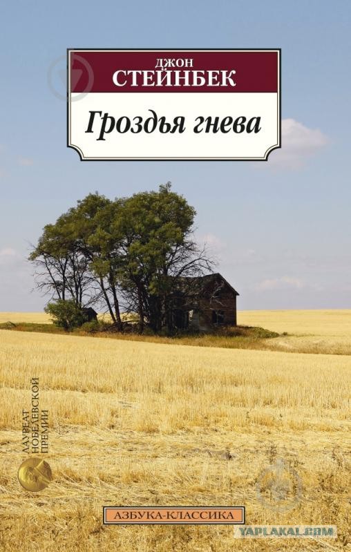 Кто какие книги читает?