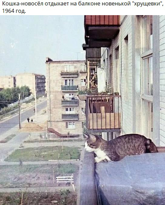 ​ Фотографии из прошлого нашей страны – 96