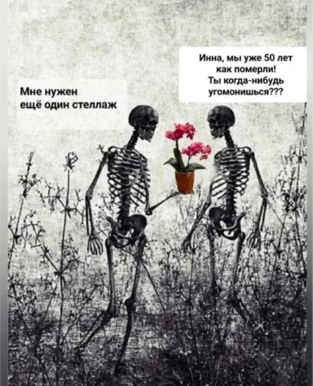 Так себе картинки 31.03.25