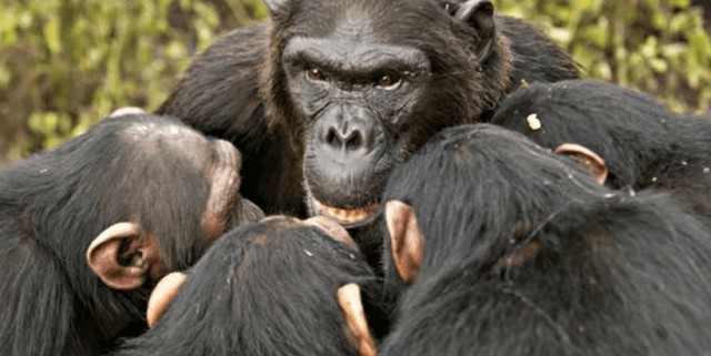 В Баку задержаны два сотрудника Sputnik Азербайджан