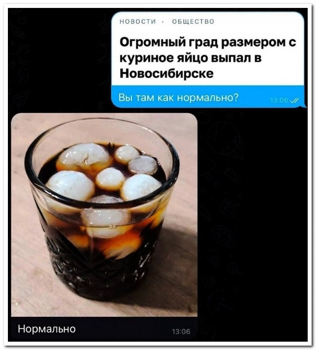 Забавные комментарии из социальных сетей 06.11.23