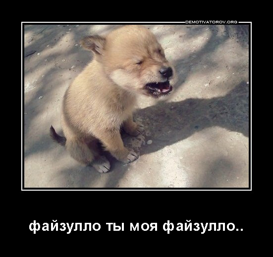 Пытаюсь нагнуть управляющую компанию. Нужен совет