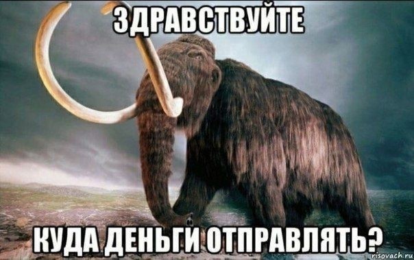 Купи слона?