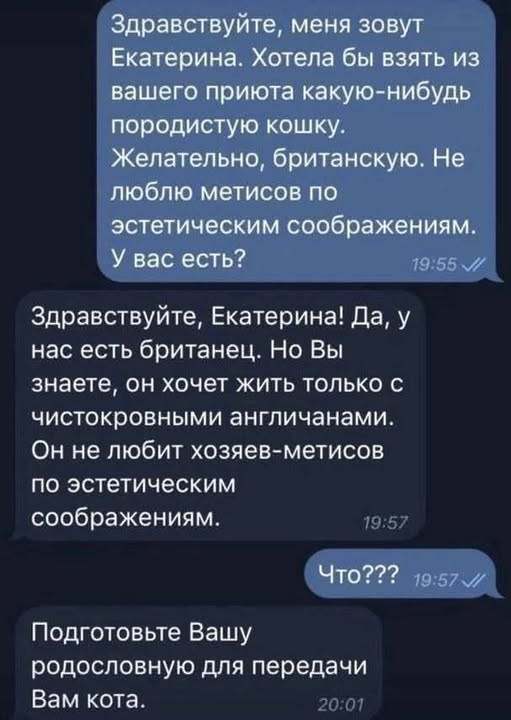 Четверговые картинки