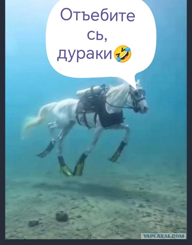 Почему?