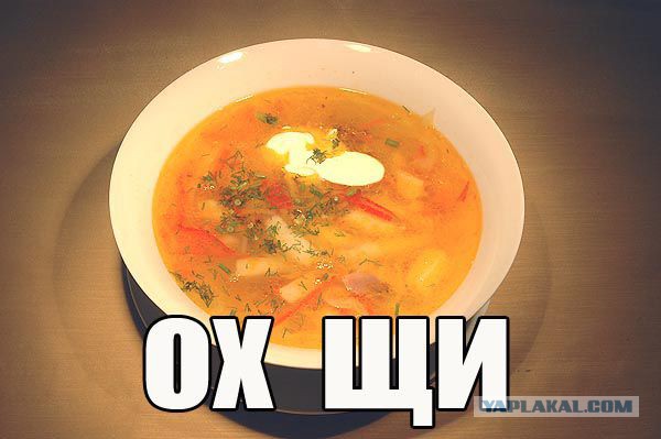 Иностранцы о русской кухне