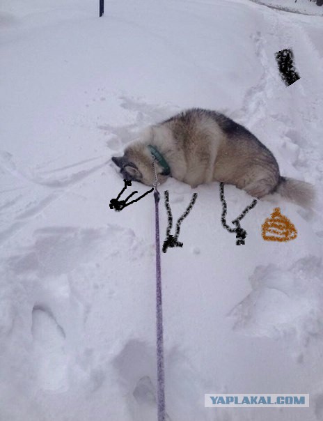 Не хочу домой
