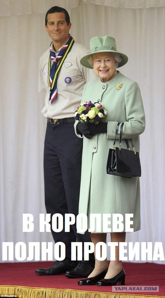 Выживальщики 80 lvl