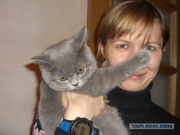 Котовторник 12.03.13