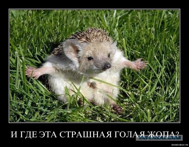 Демотиваторов пост