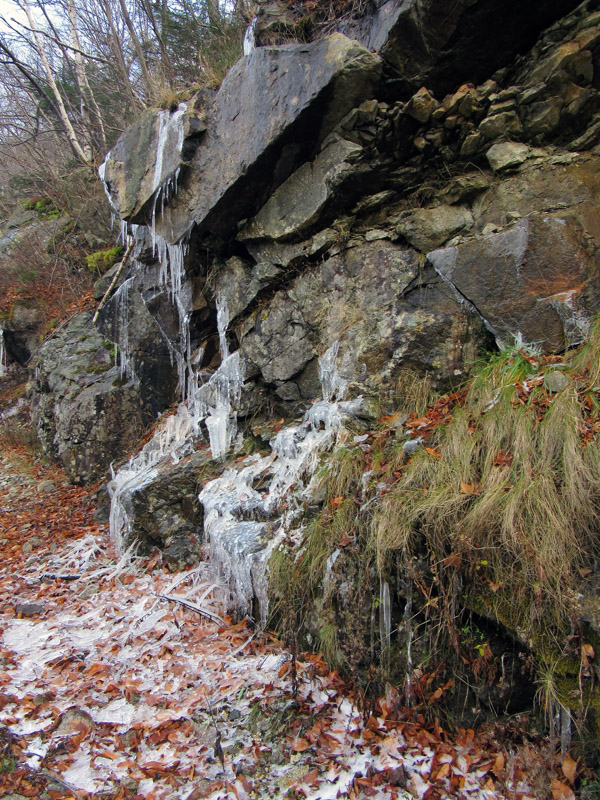 Деревенская Америка