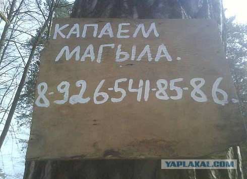 Прикольные картинки.