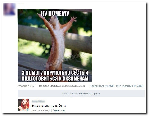 Смешные комментарии из социальных сетей