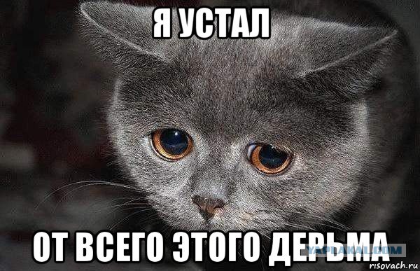 Антропология. Итоги научного года-2015.