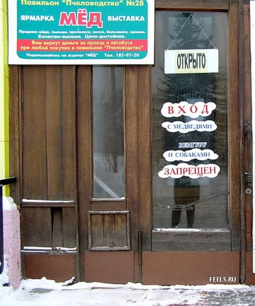 ВЫВЕСКИ, ТАБЛИЧКИ. Смешные и прикольные