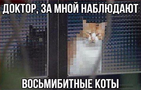 Новый год к нам мчится!