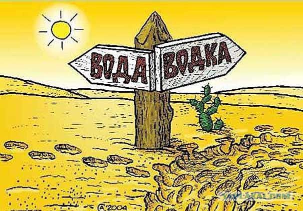 Подборка интересных и веселых картинок