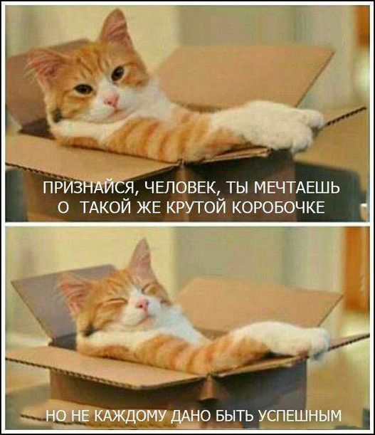 Подборка интересных и веселых картинок