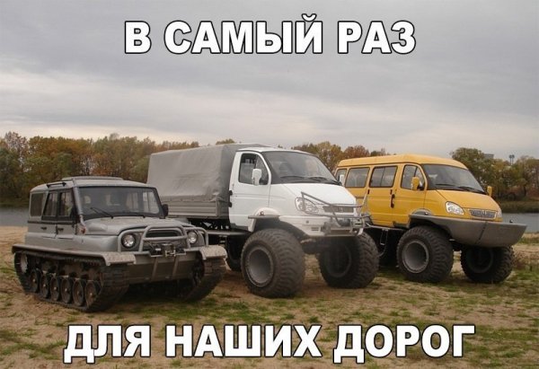 Прикольные картинки
