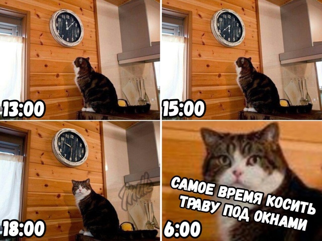 Прикольные картинки абавсём