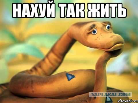 Ковырятели хурмы