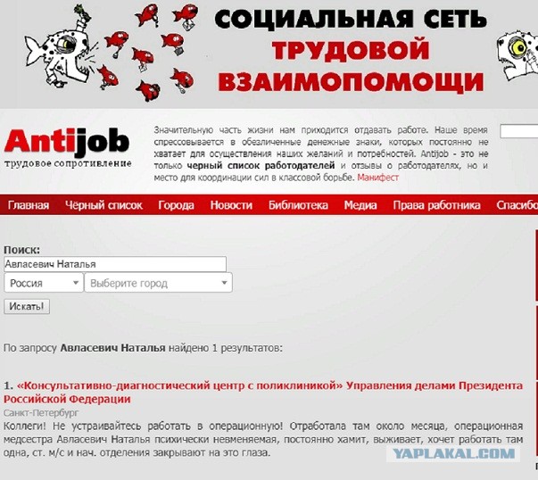 Помогите вернуть кота! Приют "Преданное сердце" украл кота и не отдает!-2
