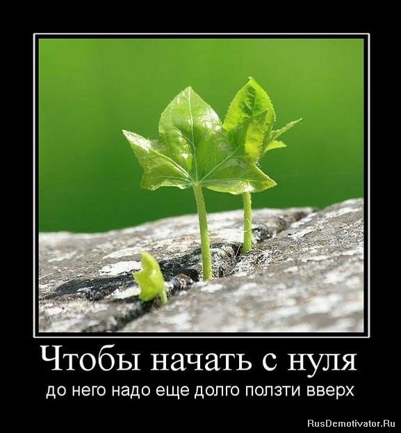 Демотиваторы