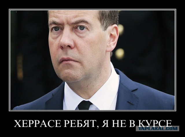 Умывальники по росту: как выглядит дача Медведева под Астраханью