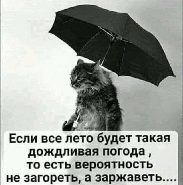 Немного картинок для настроения 116