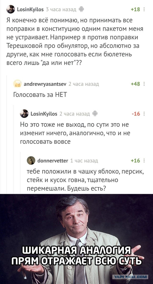 Стоит ли идти голосовать?