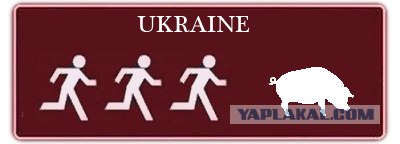 Кто и где за кем гоняется?