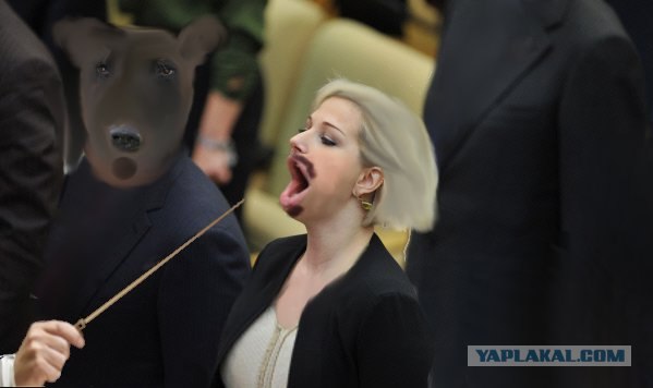 Фотожаба: Депутатка 80 lvl