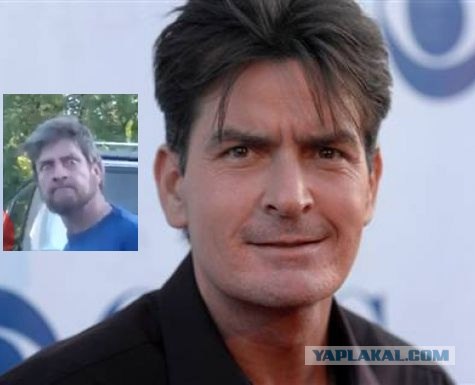 Сумашедший с кирпичем