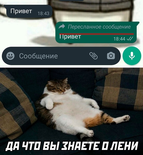 Картинки и мемы для настроения 13.12.2021