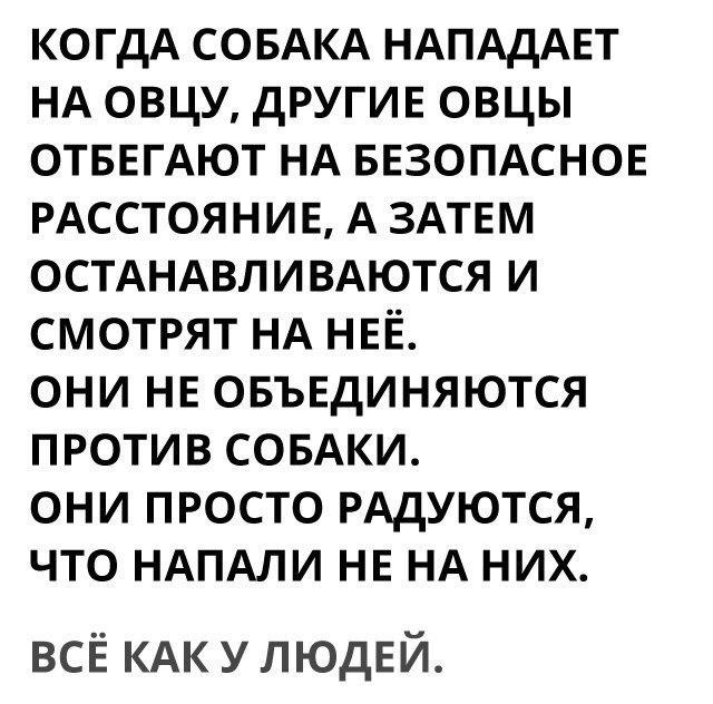 Так себе картинки 10.05.22